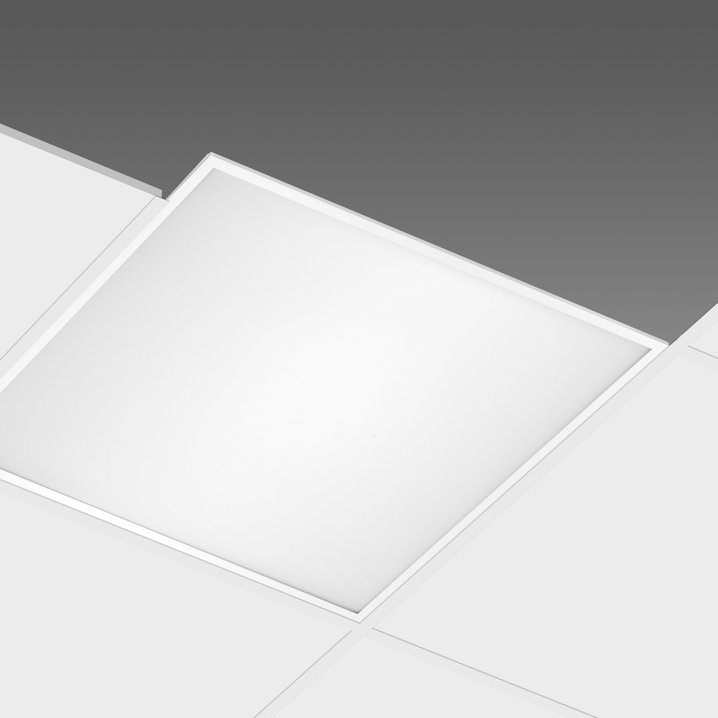 Dis15024200_rodi_830