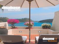Disabase v4.4 2026