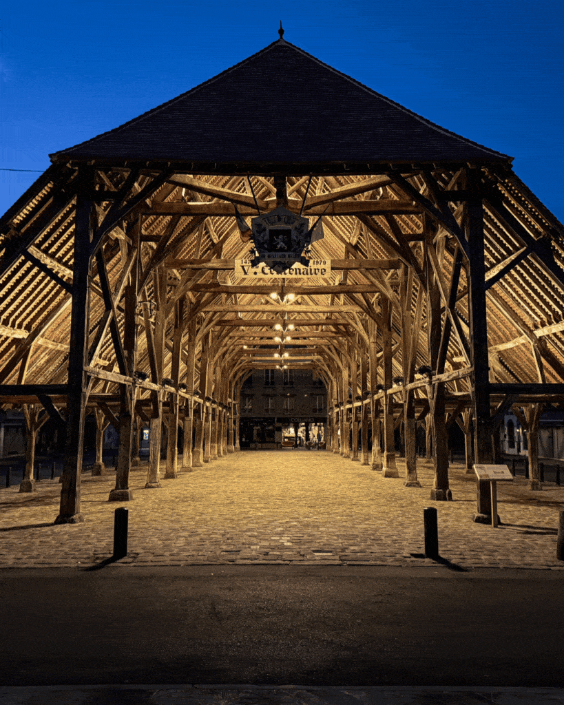 Halle Milly-la-Foret, éclairage Disano.