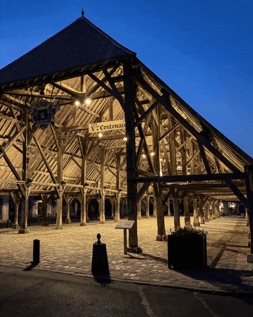Halle Milly-la-Foret, éclairage Disano.